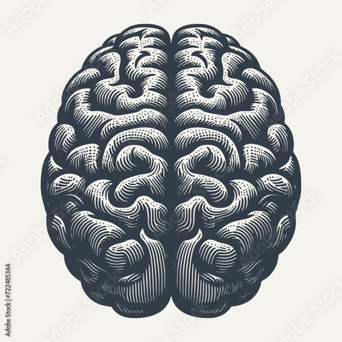 Human Brain. Vintage woodcut engraving style vector illustration.