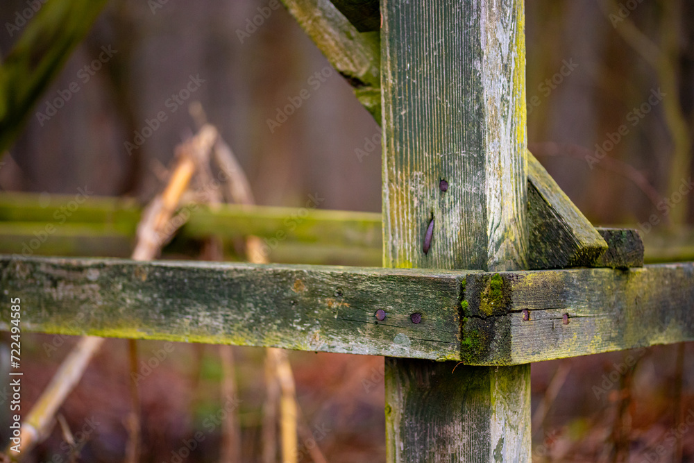 A walk, a clearing, water, green grass A walk, a clearing, water, green grass