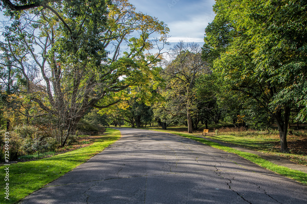 Arnold Arboretum 2