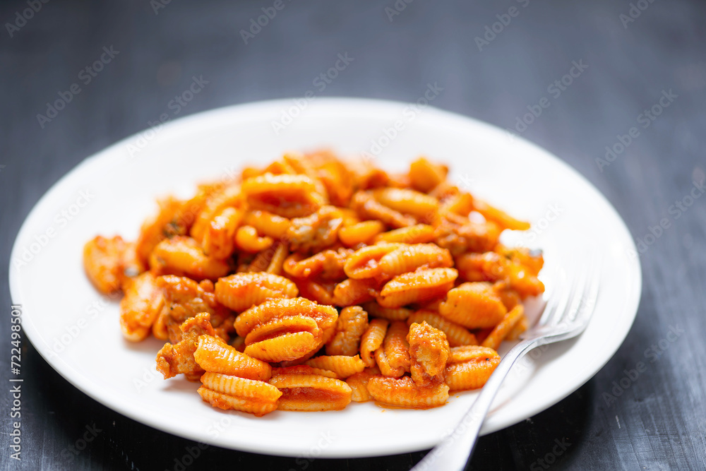 gnocchetti pasta in sausage tomato sauce