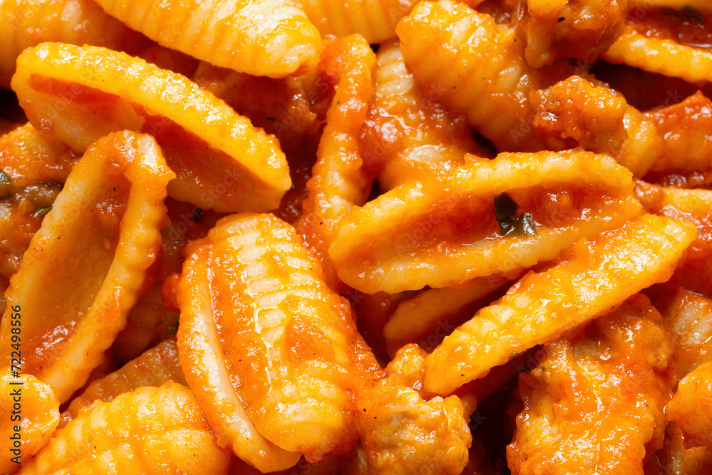 gnocchetti pasta in sausage tomato sauce
