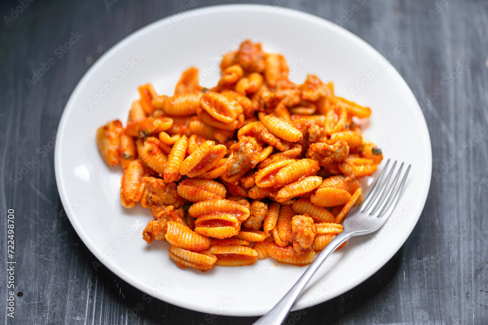 gnocchetti pasta in sausage tomato sauce