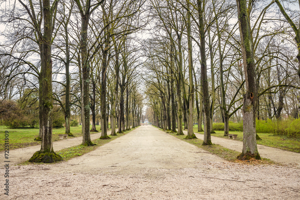 Alley of trees in The Eszterhaza castle park in Fertod, Hungary, Europe.