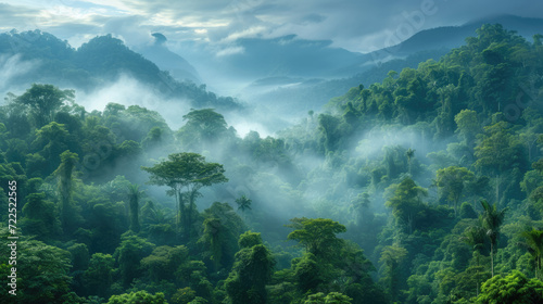 Tropical rainforest  Stunning view african Rainforest with sunrise mist and fog rays in the morning.