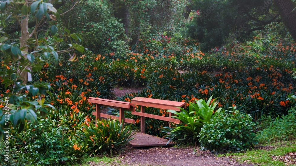 Obraz premium A bridge in a garden