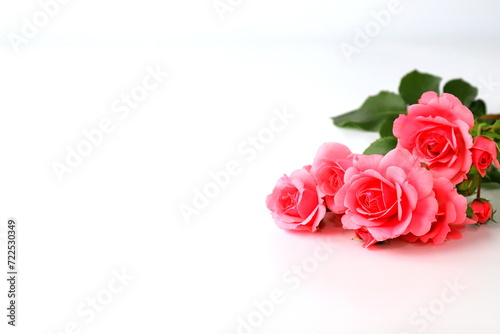 Beautiful red rose flowers on white background  bouquet  isolated. Blooming romantic pink roses - symbol of love and celebration. Happy Valentine day  women day