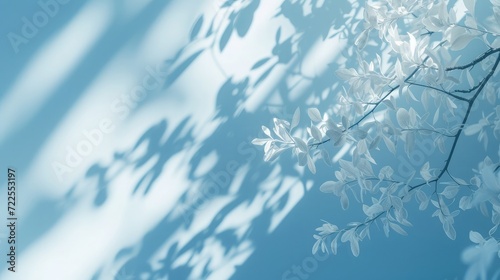 Minimalistic abstract gentle light blue background for product presentation with light and intricate shadow from tree branches on wall.