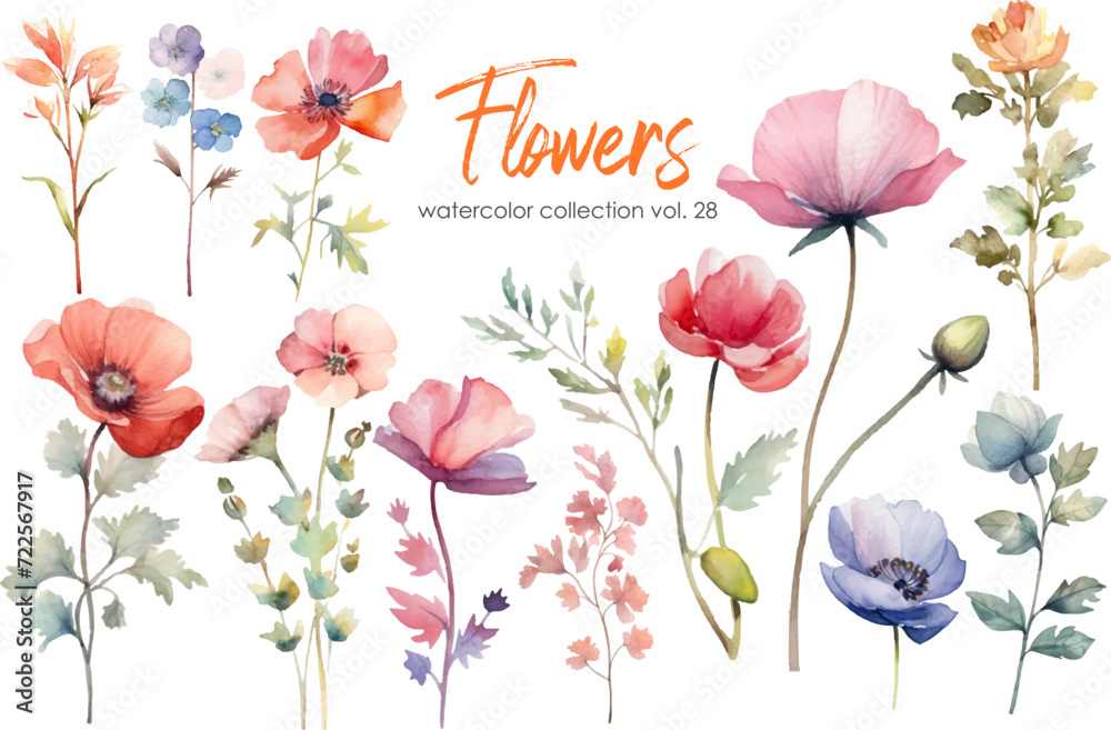 Watercolor flowers collection. Hand drawn floral vector elements isolated on white background.Botanic Wedding floral design.