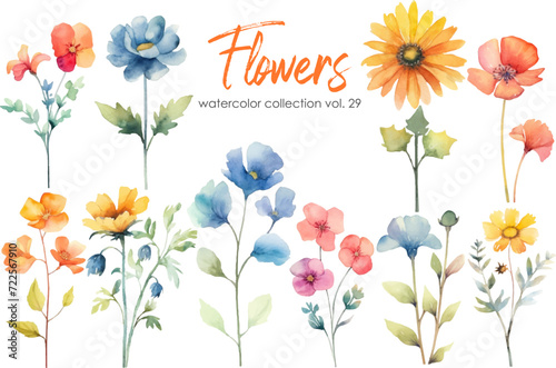 Watercolor flowers collection. Hand drawn floral vector elements isolated on white background.Botanic Wedding floral design.
