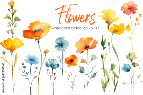 Watercolor flowers collection. Hand drawn floral vector elements isolated on white background.Botanic Wedding floral design.