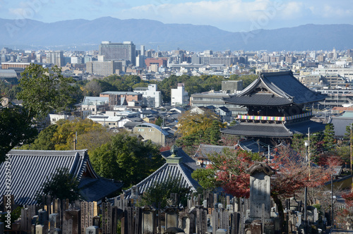 秋の金戒光明寺　山門遠望　京都市左京区黒谷 photo