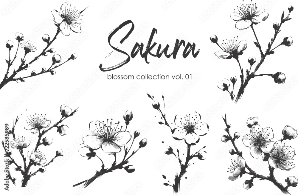 Fototapeta premium Cherry flower blossom collection. Spring almond, sakura, apple tree branch, hand draw doodle vector illustration. Cute black ink art, isolated on white background. Realistic floral bloom sketch.