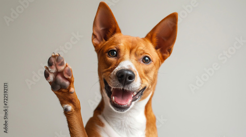 Brown and White Dog With Paw Raised in the Air