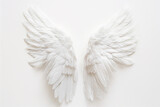 Two White Wings on a White Background