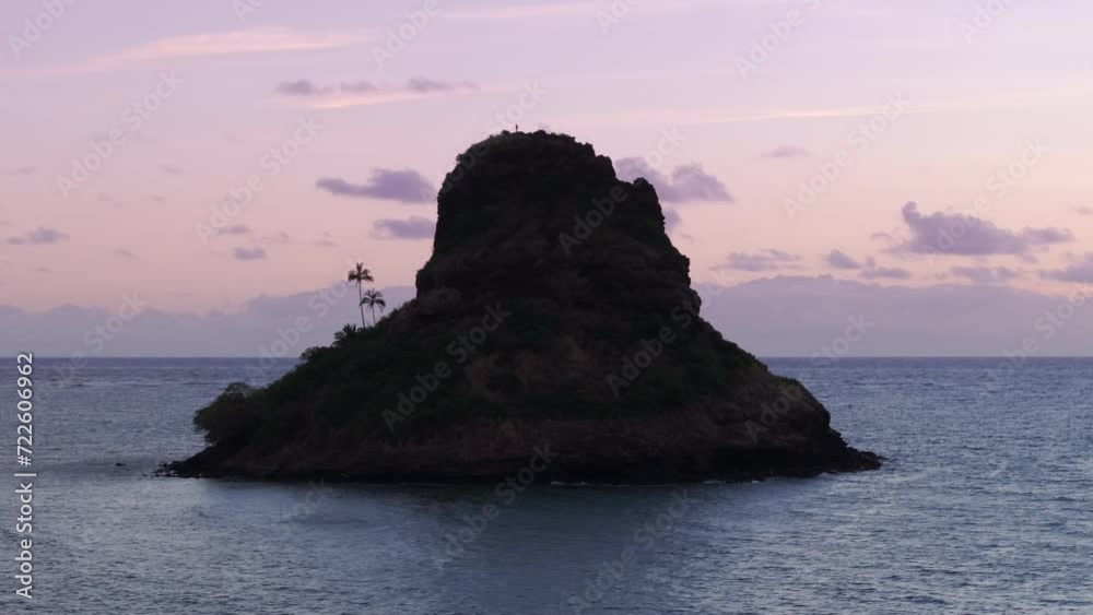 Oahu Pyramid Beautiful dark silhouette of two palm trees on edge of Mokolii basalt ...