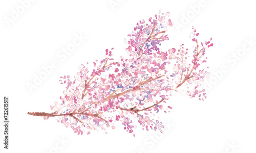 水彩画。水彩タッチの春の桜ベクターイラスト。Watercolor painting. Spring cherry blossom vector illustration with watercolor touch. Cherry blossoms with petals in full bloom. Japanese style cherry blossom illustration.