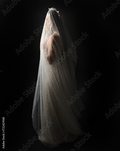 Obraz na plátně Full length portrait of beautiful model wearing white wedding gown and ghostly flowing veil like a shroud