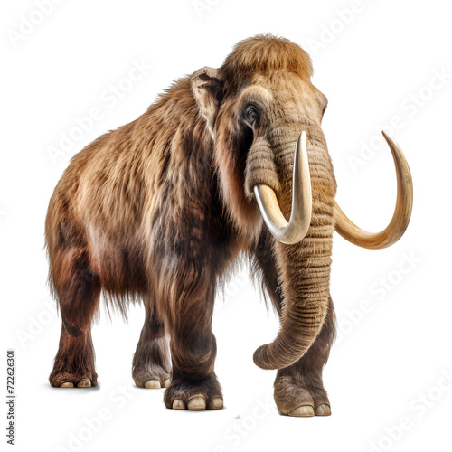 Close-up of a mammoth ice age on transparent background