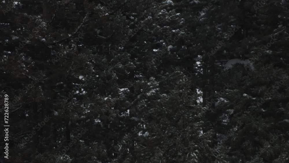ドローン映像:吹雪が吹き荒れる山 ドローン映像:吹雪が吹き荒れる山