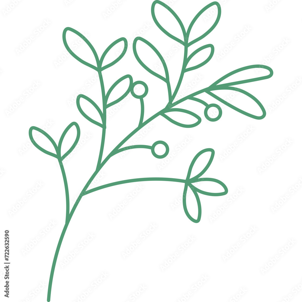 Line Floral Leaf Shape Line Floral Leaf Shape
