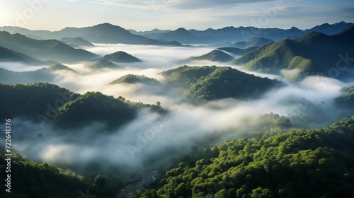 Aerial view capturing a tropical rainforest blanketed in morning fog.
