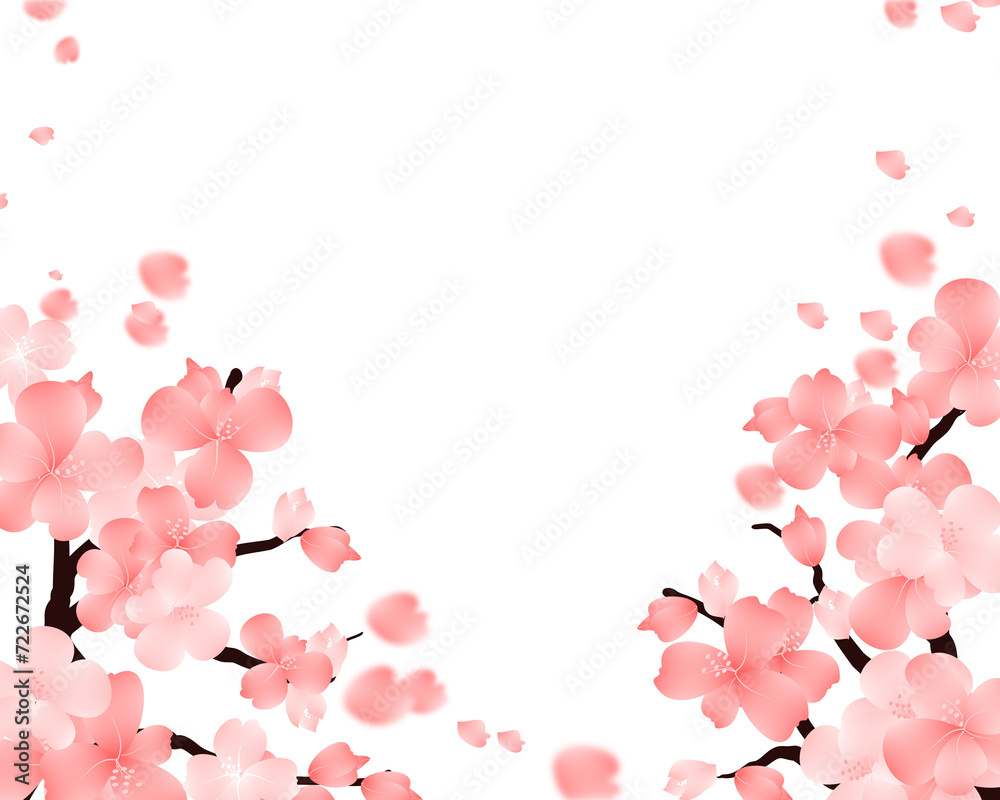 Cherry Blossom Background, Sakura Flowers Frame Border.