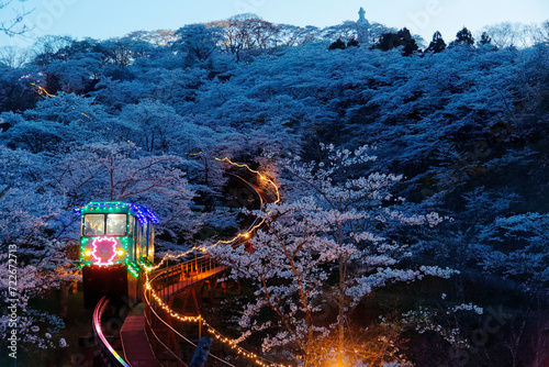 Evening scene of the Slope Car in Funaoka Castle Park traveling on the rail thru a forest of beautiful cherry blossom trees (Sakura) with a statue of Kannon on the hilltop, in Shibata, Miyagi, Japan