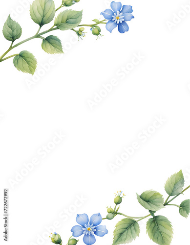myosotis-floral-frame-watercolor-illustration-minimalist-style-no-background-trending-on-artstat