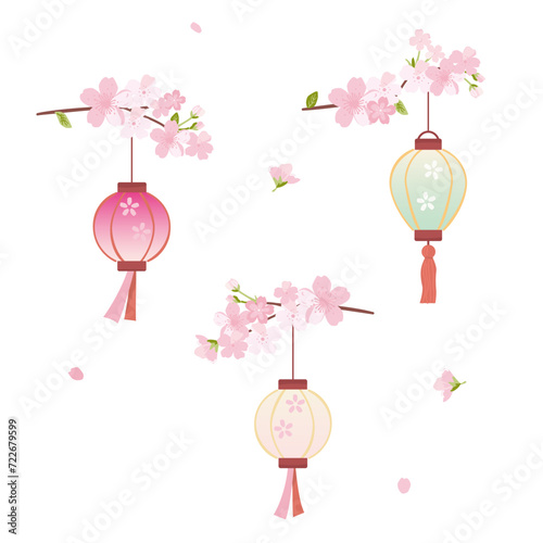 Vector illustration set of cherry blossom branch with hanging lantern, Japanese beautiful spring classic decoration.