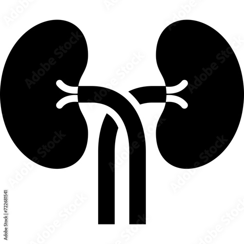 Kidneys Icon