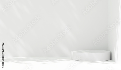 Abstract white studio background for product presentation. Empty room with leaves  shadows. Display product with minimal concept room studio backdrop. panoramic banner mockup for display. 3d render
