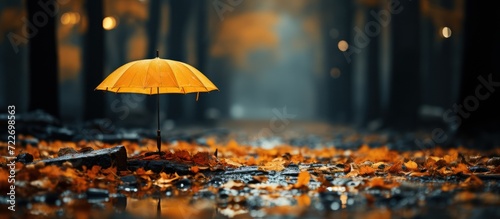 Wallpaper Mural Umbrella with Rainy Weather Concept, rainy background Torontodigital.ca