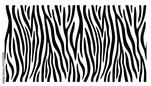 Zebra print, animal skin, tiger stripes, abstract pattern, line background, fabric. Amazing hand drawn vector illustration. Poster, banner. Black and white artwork, monochrome photo