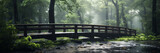 A wooden bridge for walking through the forest. There are big trees, rain falling in the forest with nature.