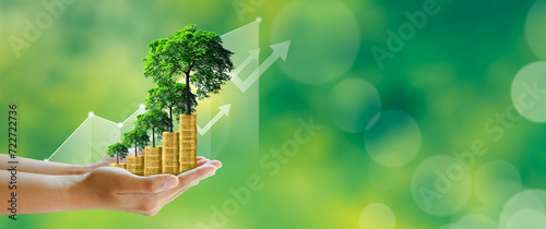Businessman hand holding step of coins stacks with tree growing on top in nature green background. Money saving, investment, family planning, money growth, business success Concept.