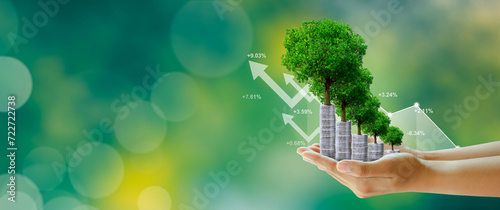 Businessman hand holding step of coins stacks with tree growing on top in nature green background. Money saving, investment, family planning, money growth, business success Concept.