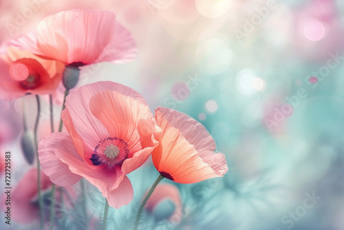 Dreamy and artistic floral background: close-up of colorful poppies composition with soft and gentle hues background, pestle color theme, bokeh effect...