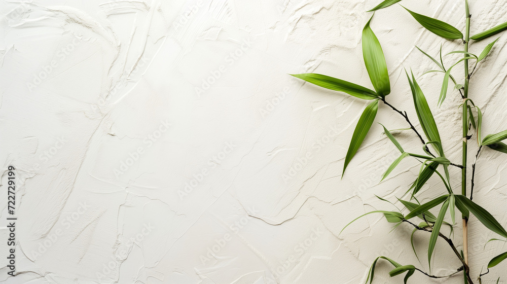 Bamboo with textured wall for wallpaper Bamboo with textured wall for wallpaper