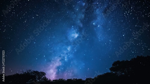  the night sky is filled with stars and the trees are silhouetted against the backdrop of the stars and the night sky.