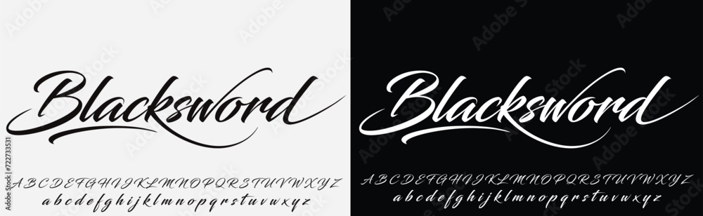 A hand-drawn signature logo design template - obrazy, fototapety, plakaty 