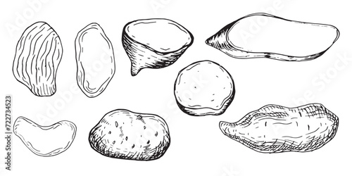 Tuber potato yam vector illustration isolated on white. Set of whole potatoes and chips ink silhouette hand drawn. Root vegetables black white outline. For design menu, wrapping, ingredients of recipe