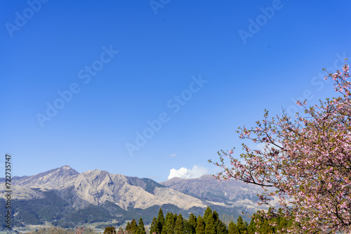 絶景 桜咲く春空風景に映える阿蘇山 Spectacular view: Mt. Aso stands out against the spring sky with cherry blossoms in bloom 日本(春) Japan (spring) 九州・熊本県南阿蘇村 Minamiaso Village, Kumamoto 桜（南阿蘇桜公園）アスペクタ 熊本県阿蘇郡南阿蘇村久石