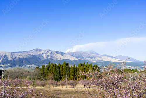 絶景 桜咲く春空風景に映える阿蘇山 Spectacular view: Mt. Aso stands out against the spring sky with cherry blossoms in bloom 日本(春) Japan (spring) 九州・熊本県南阿蘇村 Minamiaso Village, Kumamoto 桜（南阿蘇桜公園）アスペクタ 熊本県阿蘇郡南阿蘇村久石