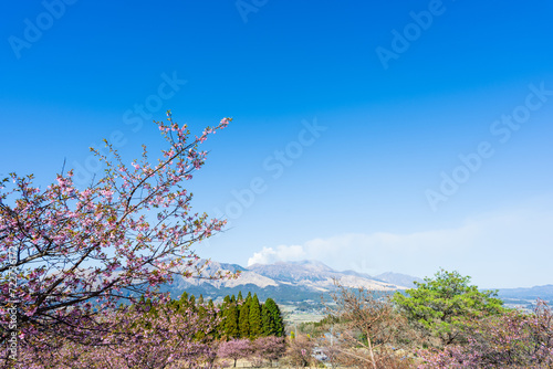 絶景 桜咲く春空風景に映える阿蘇山 Spectacular view: Mt. Aso stands out against the spring sky with cherry blossoms in bloom 日本(春) Japan (spring) 九州・熊本県南阿蘇村 Minamiaso Village, Kumamoto 桜（南阿蘇桜公園）アスペクタ 熊本県阿蘇郡南阿蘇村久石