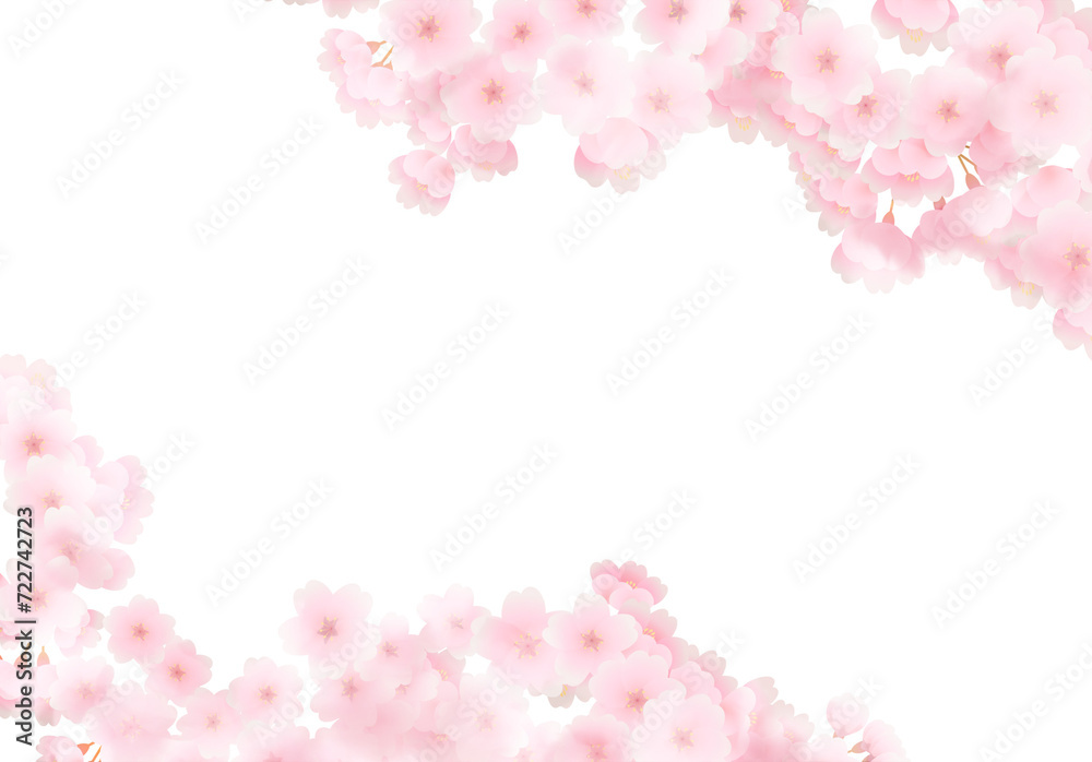 pink cherry blossom border