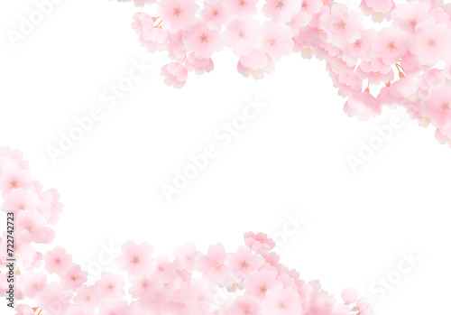 pink cherry blossom border