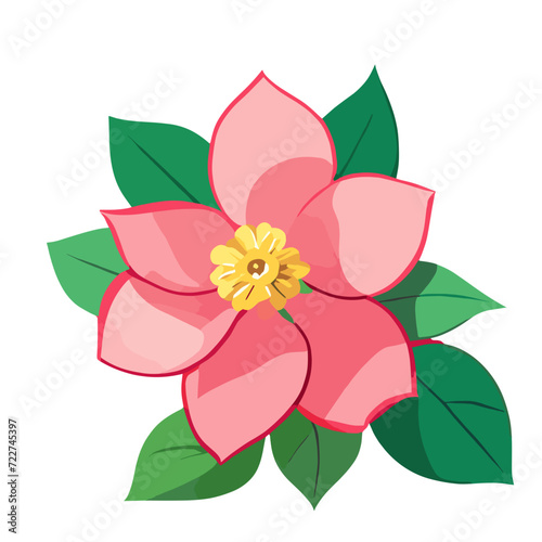 pink flower isolated on white