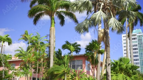 4k HDR video Miami scene pink building and palms on blue sky photo