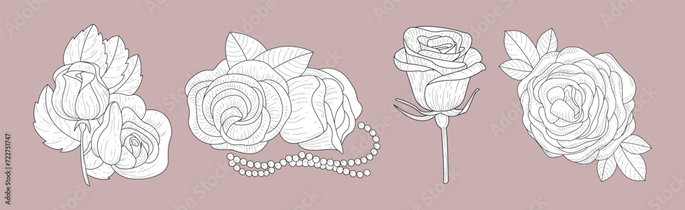 Lush Rose Flower Bud on Stem as Garden Flora Vector Set Lush Rose Flower Bud on Stem as Garden Flora Vector Set