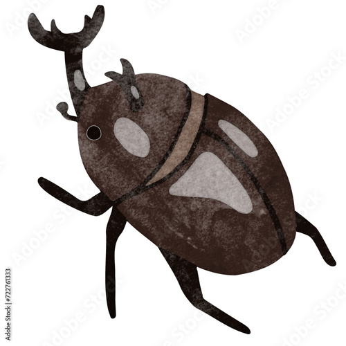 カブトムシ